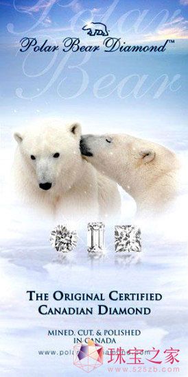 北極熊:溫情詮真愛珠寶