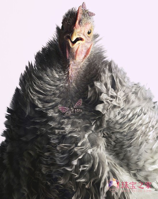 Peter Lippmannëϵ錚AƬ