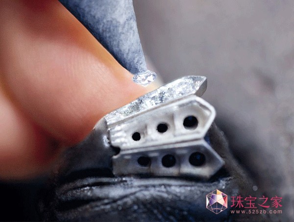 ƽ  2012SERPENTIϵи߼錚